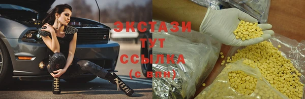 крисы Магас