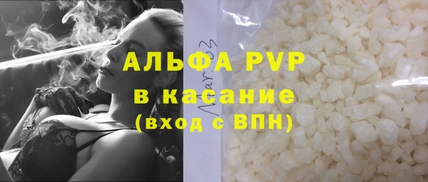 крисы Магас