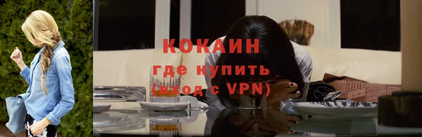 крисы Магас