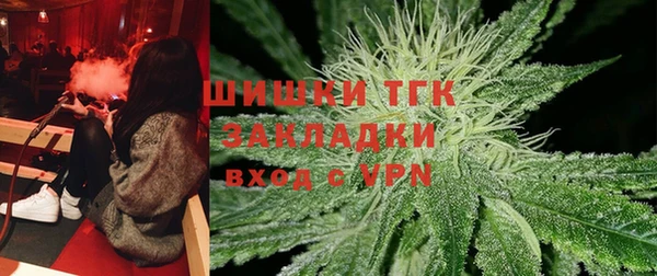 крисы Магас