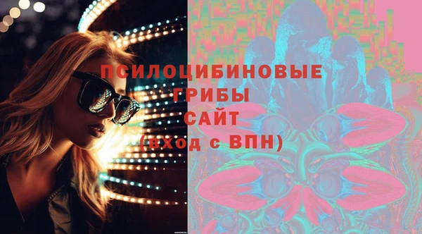 крисы Магас