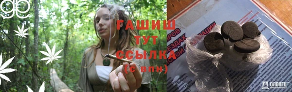 крисы Магас