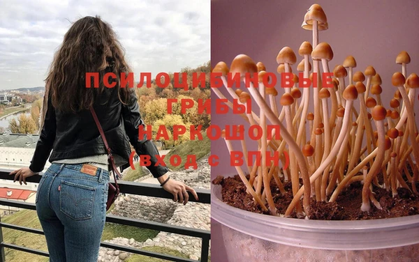 MDMA Магадан